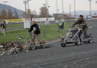 BILDER_175_1_1.jpg
