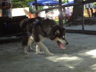 DSC01764_1.JPG
