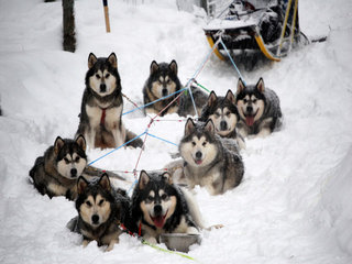 DSC_00070056Ridder_rennet_trenings_tur_1_1.JPG