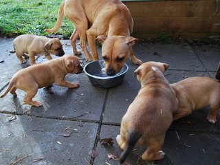 DSC_0011_1.JPG