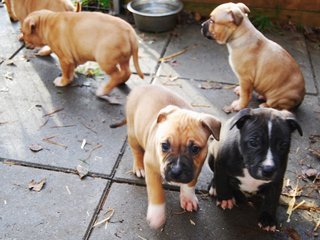 DSC_0027_1.JPG