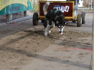 EM_2011__21__1.JPG