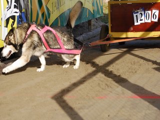 EM_2011__33__1.JPG