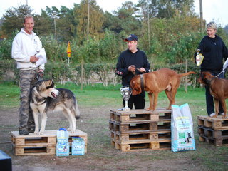 EM_2011__49__1.JPG