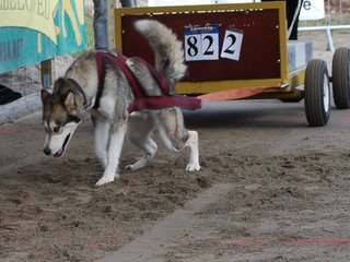 EM_2011__9__1.JPG