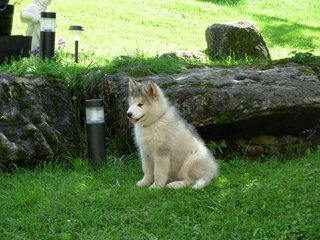 FLUFFY_003_1_1.jpg