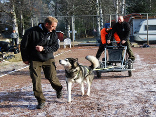 Finnskogen__2__1_1.JPG