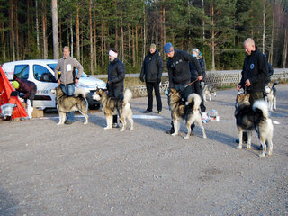 Finnskogen__32__1_1.JPG