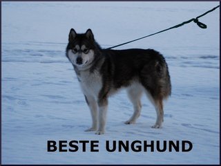 HJEMMESIDE_1_1.jpg