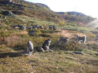 Hardangervidda_september__2008_014_1_1.JPG