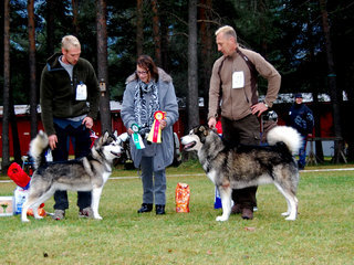 Hovedutstilliga_til_NAMK_2011__14__1.JPG