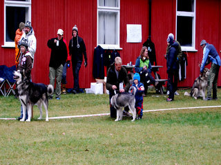 Hovedutstilliga_til_NAMK_2011__15__1.JPG