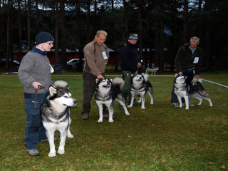 Hovedutstilliga_til_NAMK_2011__21__1_1.JPG
