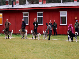 Hovedutstilliga_til_NAMK_2011__22__1.JPG