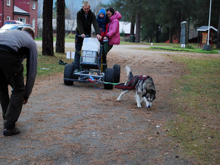Hovedutstilliga_til_NAMK_2011__23__1.JPG