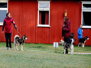 Hovedutstilliga_til_NAMK_2011__2__1.JPG