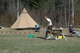 Hovedutstilling_NP_2007_021_1_1.jpg