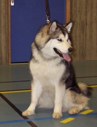 IMGP4435_1.JPG