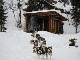 Januar_2009_011_1_1.jpg