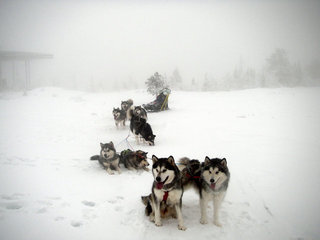 Januar_Sigdal__24__1_1.JPG