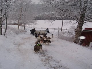 Jula_2005_Pia_og_Erik_021_1_1.jpg