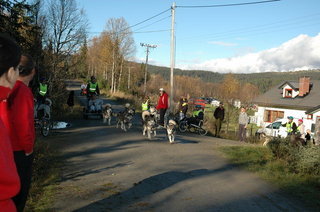 Kjersti_028_1_1.jpg