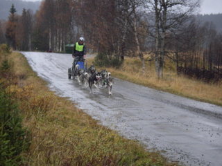 Merket_2007_032_1_1.jpg