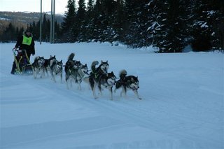 Merket__januar_2007_1.jpg