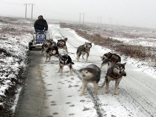 NAMK.samling_sept_2010__11__1.JPG