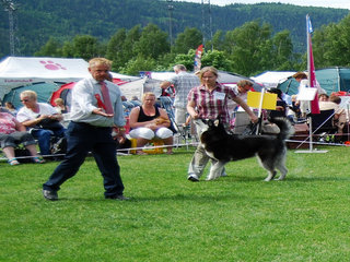 NKK_Drammen_2011__10__1.JPG