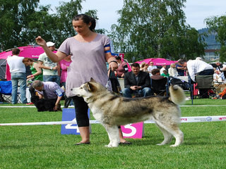 NKK_Drammen_2011__12__1.JPG