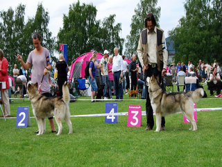 NKK_Drammen_2011__15__1.JPG