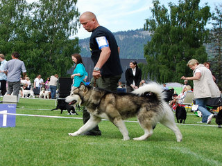 NKK_Drammen_2011__5__1.JPG