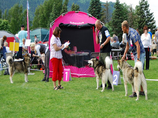 NKK_Drammen_2011__8__1.JPG