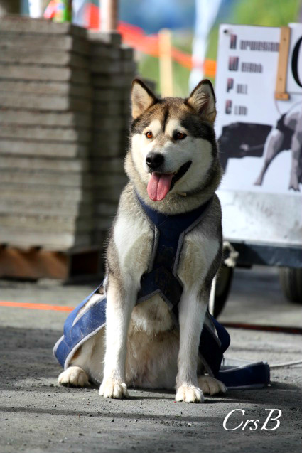 NM_2011__12_.jpg