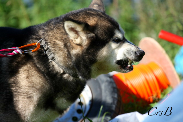 NM_2011__7_.jpg
