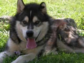 Nick_018_1.jpg