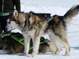 P__sken_2009__6__1.JPG