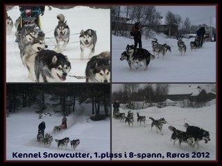 Picnik_montasje__2__1.jpg