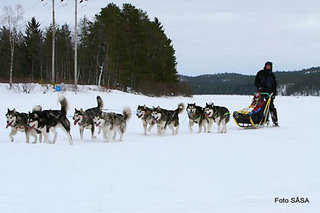 Polardist_09_2a_196_1.jpg