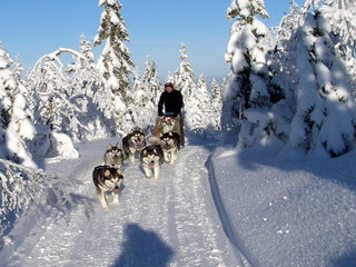 Sigdal_januar_034_1.jpg