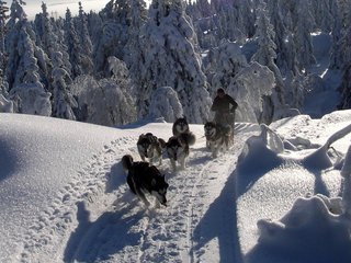 Sigdal_januar_036_1.jpg