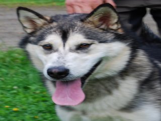 Thamik_1__r__28__1.JPG