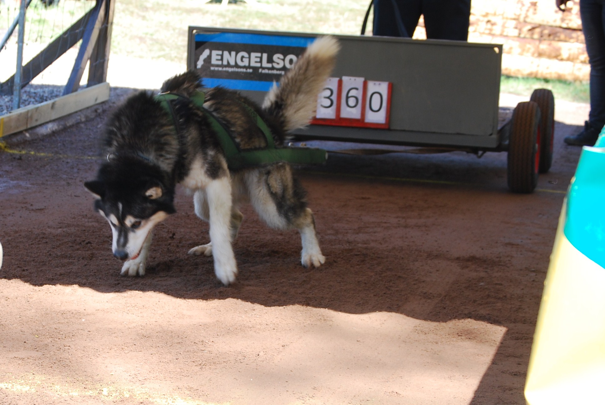 Thorby_2012__127_.JPG