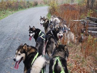 Trening__13__1.JPG
