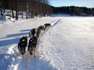 Trening__35__1.JPG