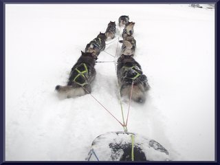 Trening__8__1.JPG