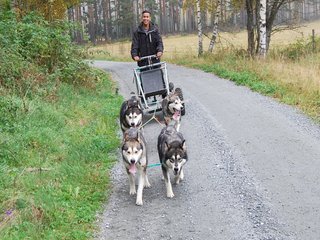 Trening__9__1.JPG