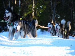 Trening_februar___22__1.JPG