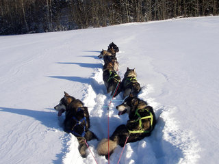 Trening_februar___32__1.JPG